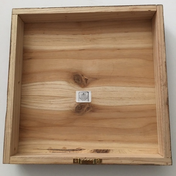 Wall Art Home Sea ​​Shell - 9"x9" - Picture 5 of 7